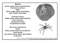 Spinnen-SW.pdf